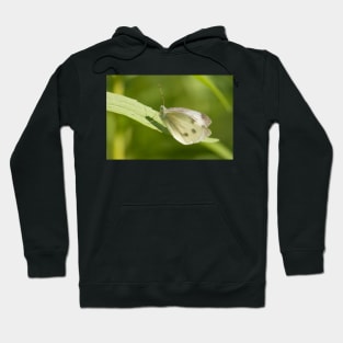 Cabbage Patch Hoodie